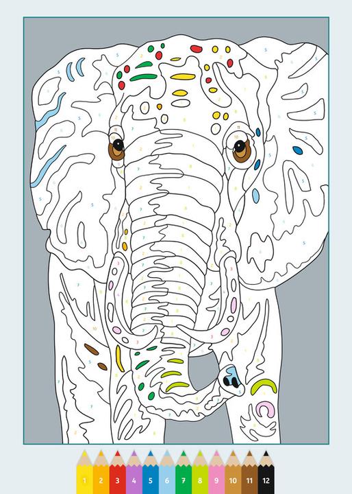 Image du produit Ravensburger CreArt Peinture par numéros Animaux sauvages