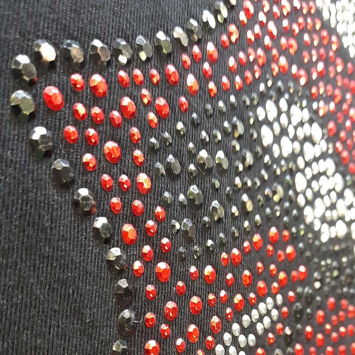 Image du produit The Rolling Stones Unisexe Adulte Classic Tongue Embelli T-shirt (L)