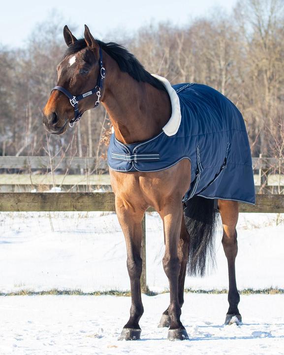 Actual product image Qhp stable blanket with cut shoulders 200 g (135 cm)