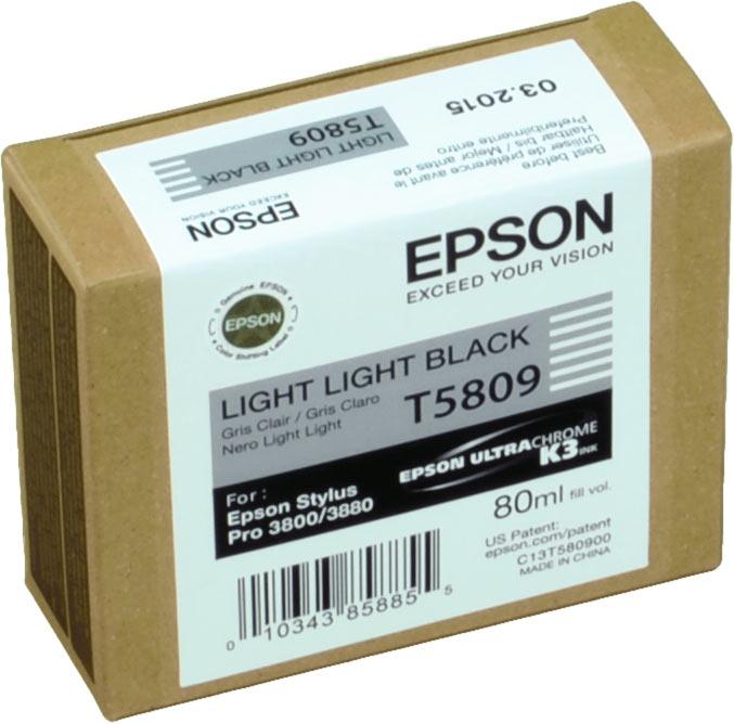 Actual product image Epson T5809 (FC, GY)