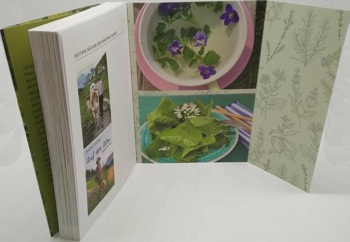 Produktbild Meine Wildkräuter (Deutsch, Martina Fischer, Dorothea Steinbacher, 2023)