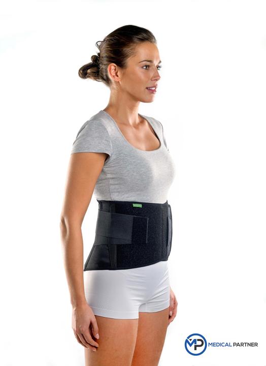 Image du produit BraceID Contoured Back Support (L)