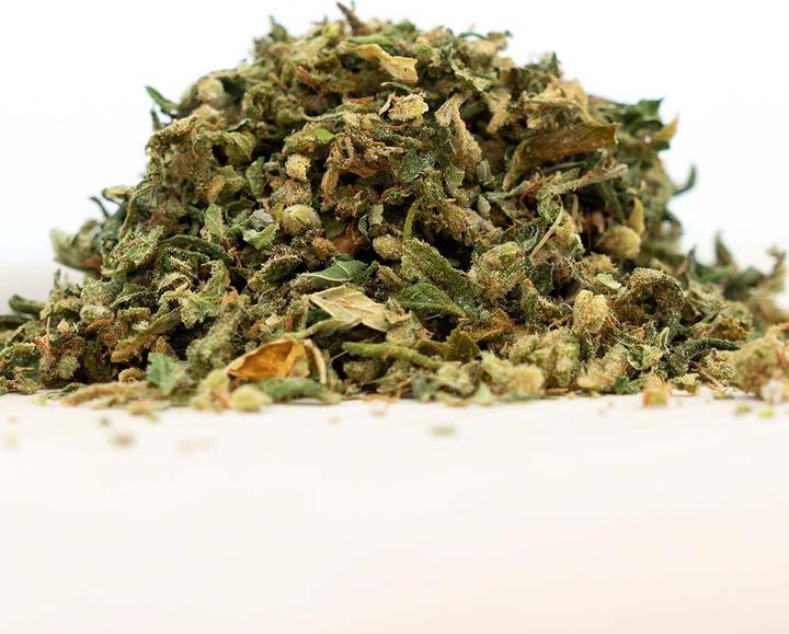 Actual product image Herba di Berna Harlequin Hand Trim (20 g, Indoor)
