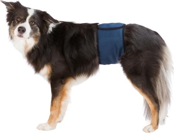 Immagine prodotto Trixie Fasciatura maschile S 29-37cm (S)