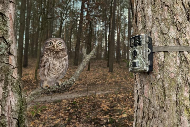 Actual product image Technaxx WILDCAM 1080P TX-256