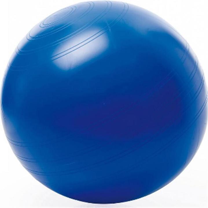 Actual product image Togu Seatball (65 cm)