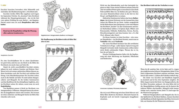Actual product image Das grosse Hochbeet-Buch (German, Doris Kampas, 2024)