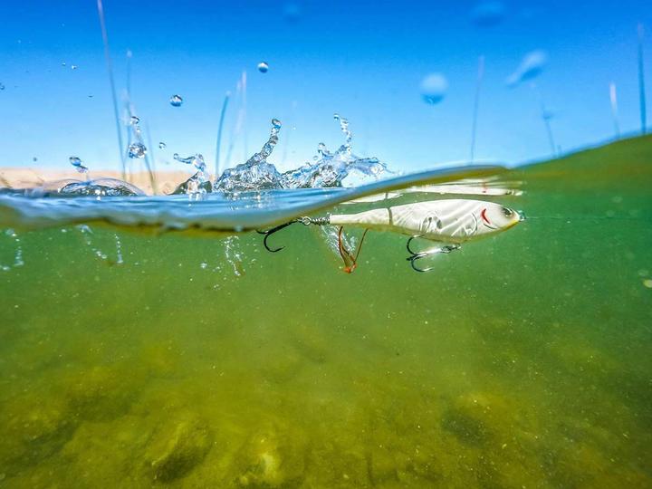 Image du produit Berkley Choppo Plopper (9 cm)