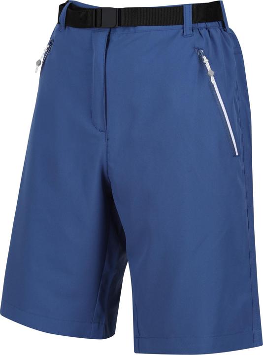 Actual product image Regatta Womens/Ladies Xert Stretch Shorts (34)