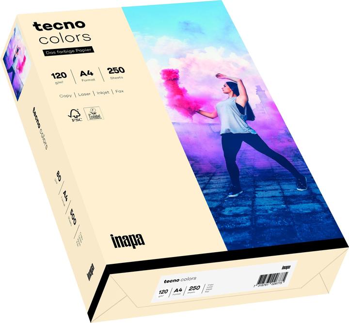 Inapa farbiges Druckerpapier, buntes Papier tecno Colors: 120 g/m², A4, 250 Blatt, hellchamois (120 g/m², 250 x, A4)