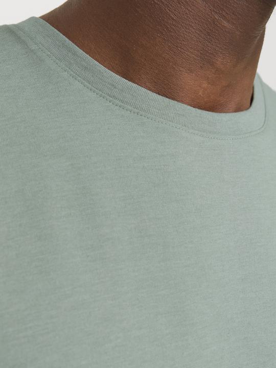 Actual product image Jack & Jones Jjepaulos Tee Ss Crew Neck Noos (XL)