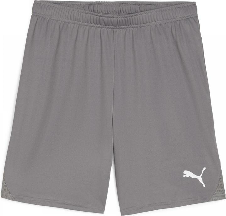 Actual product image Puma teamGOAL shorts (XL)