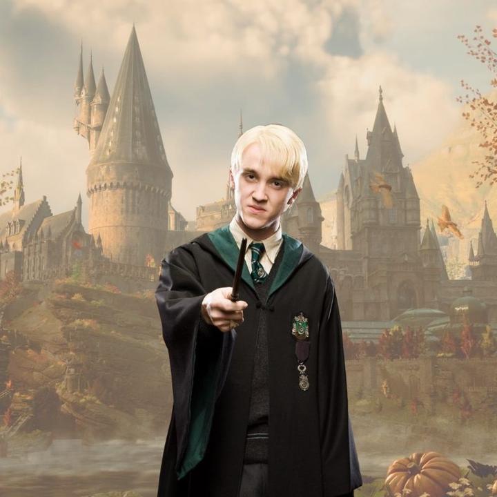 Produktbild Noble Collection Draco Malfoy's Wand Zauberstab