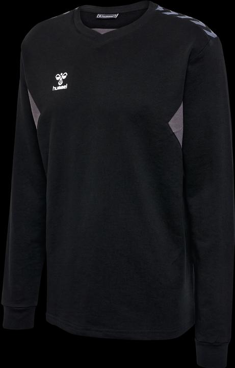 Image du produit hummel Hmlauthentic Co Training Sweat (3XL)