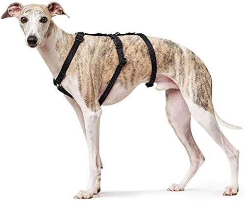 Produktbild Hunter Sicherheitsgeschirr Vario Rapid (48, 49, 50, 52, 54, 56, 58, 60, 62, 68, Hund, Allgemein)