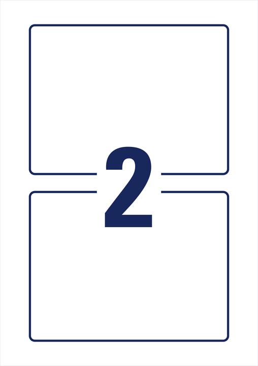 Actual product image Avery Carrier labels