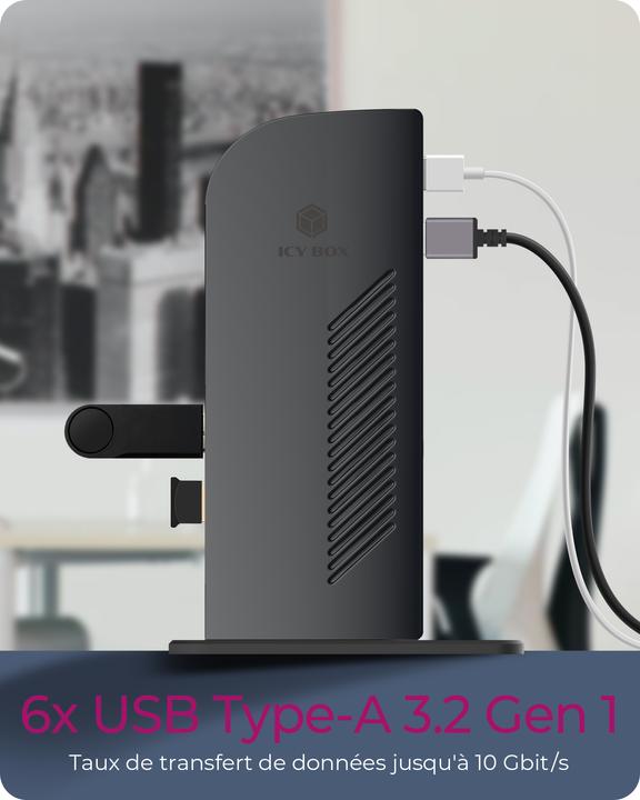 Immagine prodotto Icy Box Ib-Dk2242ac (USB-B, 6 Porti)