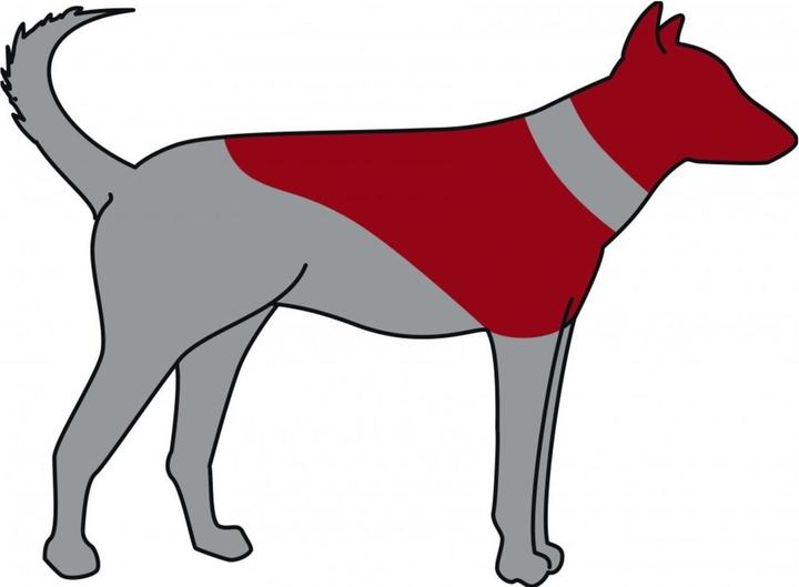 Produktbild Trixie Schutzkragen, aufblasbar (Hund)
