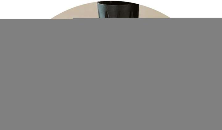 Immagine prodotto wolfcraft Spann- und Arbeitstisch MASTER 600 (53 cm, 65 cm)