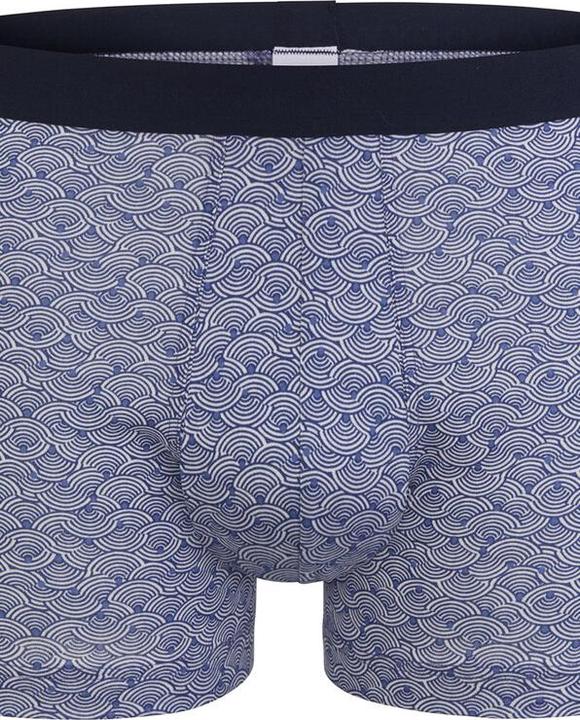 Immagine prodotto ISA Bodywear Pantalone in cotone organico equosolidale (L, Confezione singola)