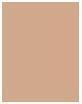 Image du produit Wet n Wild Focus photo (Beige tendre)