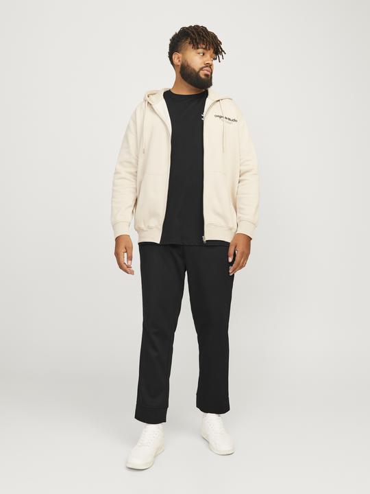 Produktbild Jack & Jones Plus Size Slim Fit Hose mit Slim Fit Hose mit Slim Fit (40)