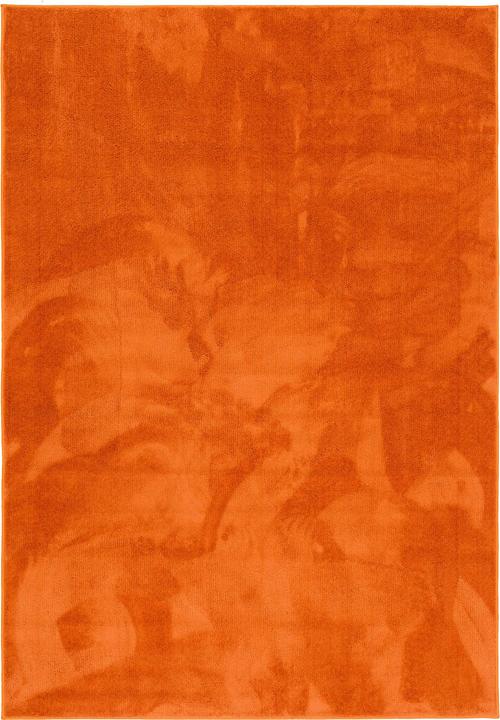 Actual product image Pergamon Luxus Super Soft Hochflor Langflor Teppich Melia (120 x 170 cm)