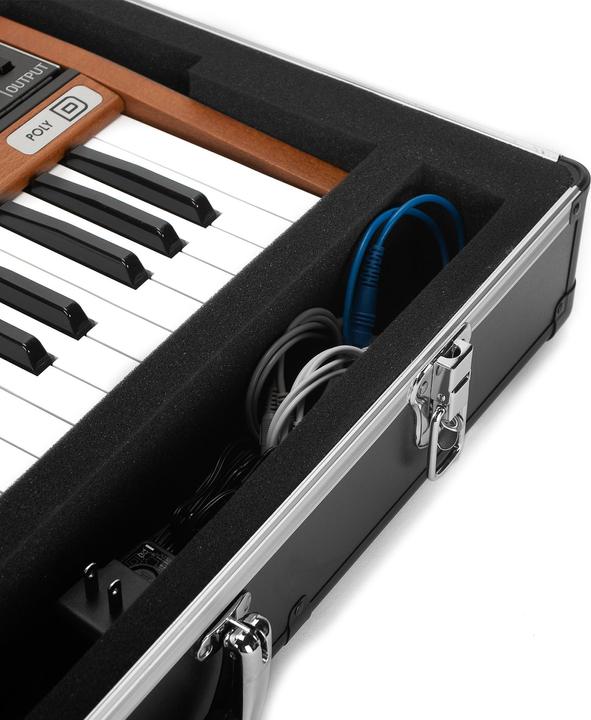 Actual product image Analog UNISON Case For Behringer Poly D