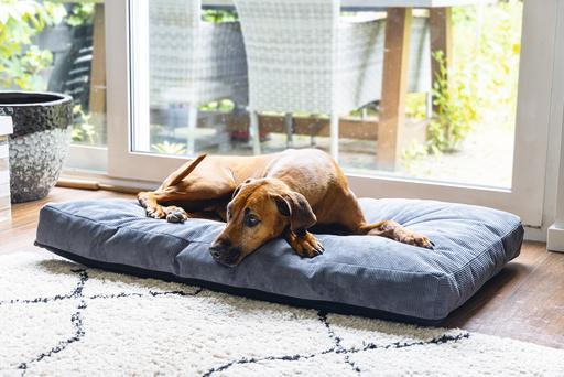 Immagine prodotto Beeztees Bz Riposo Ortopedico Cush Veo Dgrey 100x70 (Cane)