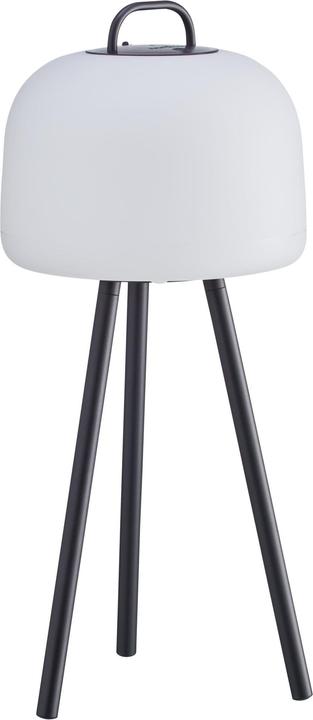 Actual product image Nordlux Kettle Tripod 31, Black