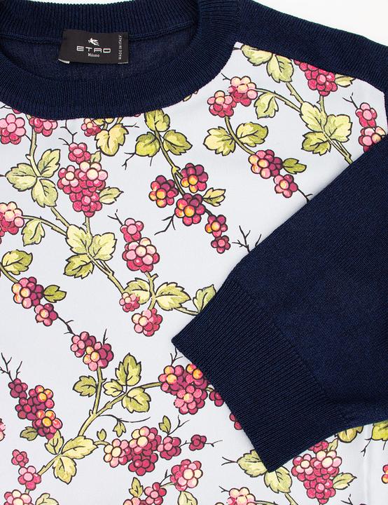 Image du produit Etro Sweater (40)