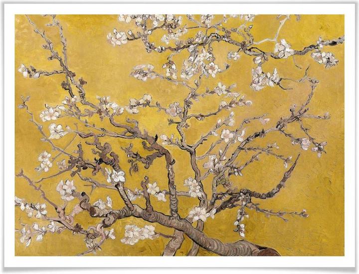 Image du produit Trenddeko van Gogh - Ocre de fleur d'amandier (100 x 80 cm)