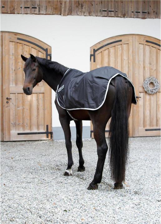 Produktbild Kerbl Führanlagendecke (155 cm)