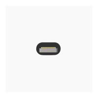 Produktbild Artwizz Kabel Lightning zu USB Alu-Edition 1m (titan) (USB 2.0)
