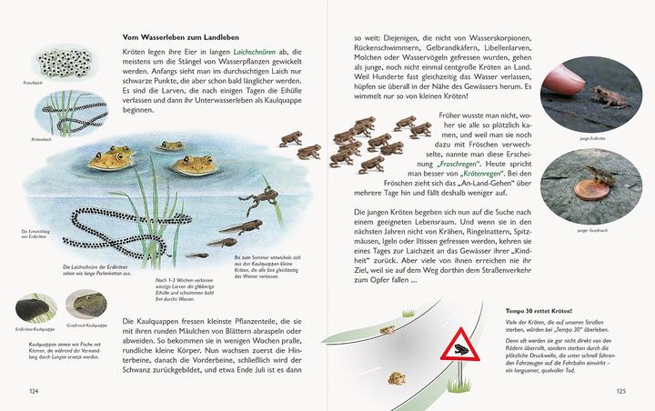 Actual product image Wawra's Naturbuch, Band 1: Säugetiere, Vögel, Reptilien, Amphibien (German, Johannes Wawra, Ursula Wawra, 2020)