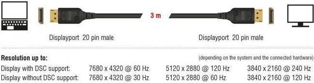 Actual product image Delock DisplayPort — DisplayPort (3 m, DisplayPort)