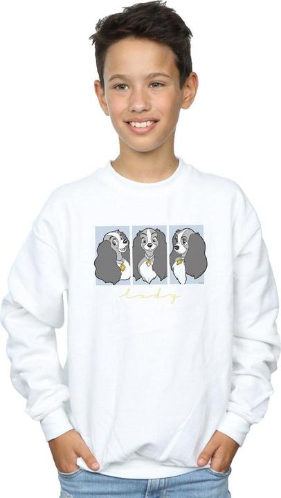 Actual product image Disney Boys Lady And The Tramp Lady Frames Sweatshirt (152, 158)