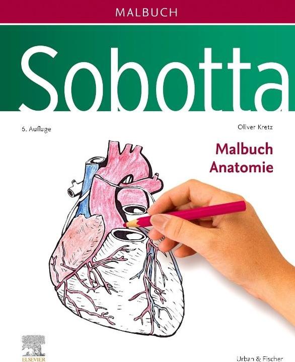 Actual product image Sobotta colouring book anatomy
