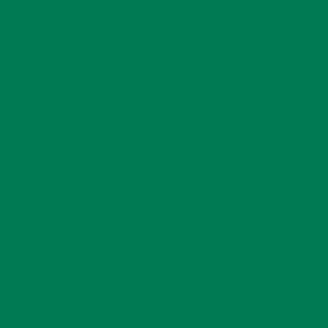 Image du produit VBS Peinture acrylique, 250 ml (Oxyde de chrome vert, 250 ml)
