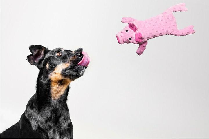 Immagine prodotto Gloria Hundespielzeug Dogmonsters Rosa Schwein 34 x 9 cm (Cane di peluche)