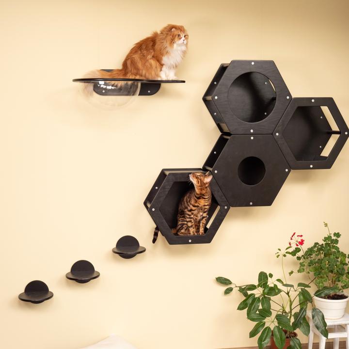 Image du produit Wowhelperco Aire de jeux murale pour chats 8 pièces (Noir)