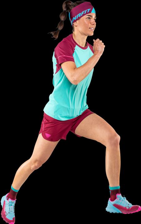 Immagine prodotto Dynafit Camicia Alpine Pro a maniche corte (40, 46, L)