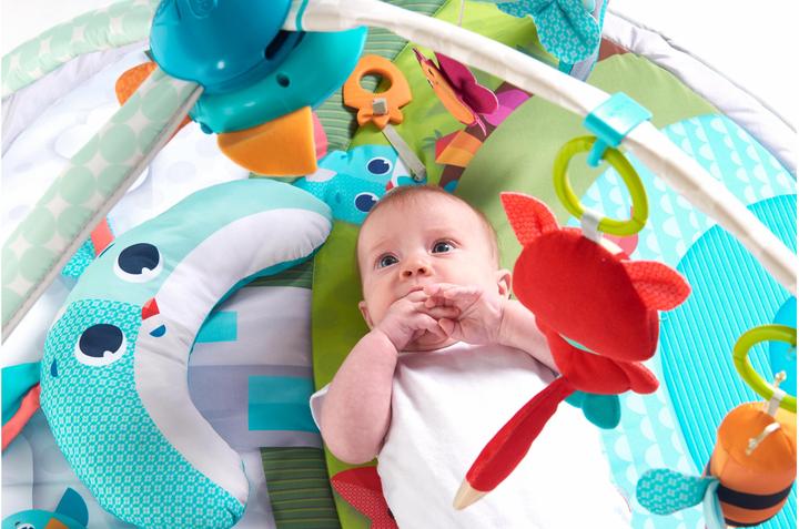 Actual product image Tiny Love Dynamic Gymini Meadow Days