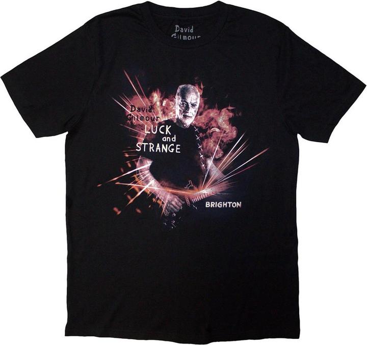 Actual product image Universal Textiles Unisex Adult Luck & Strange Brighton Back Print T-Shirt (S)