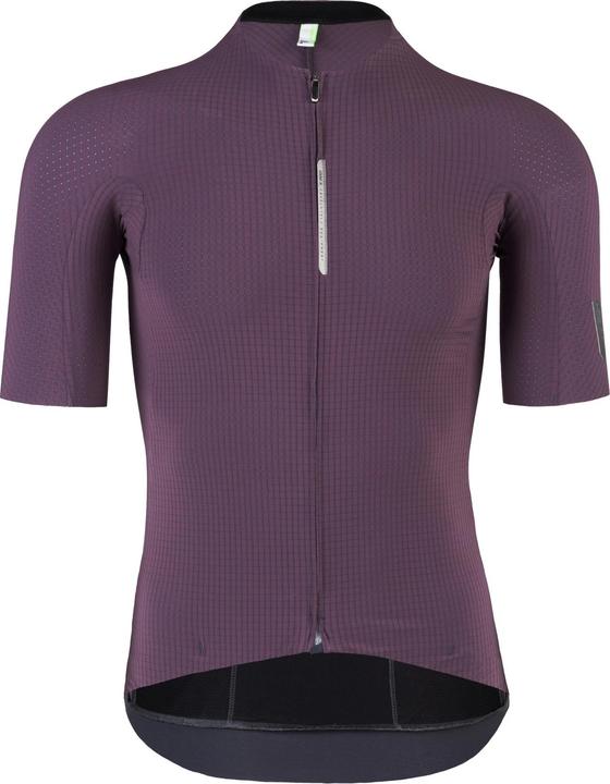 Q 36.5 Maillot SS Pinstripe PRO