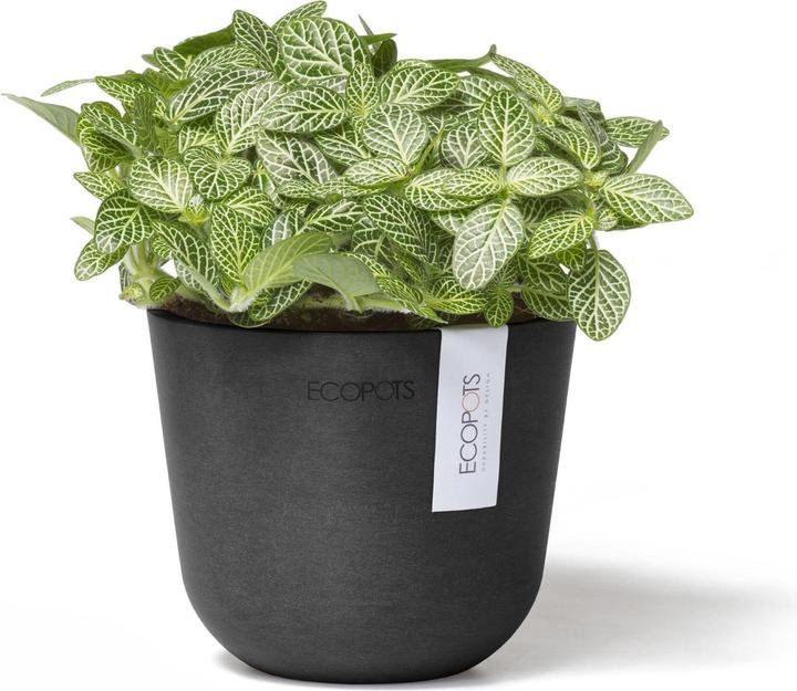 Produktbild Ecopots Oslo Mini (11.50 cm)