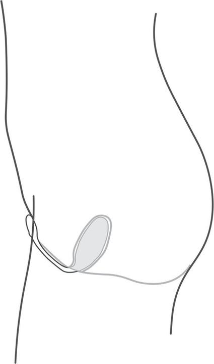 Image du produit We-Vibe Jive