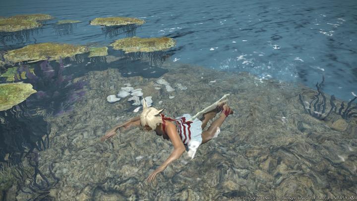Immagine prodotto Square Enix Final Fantasy XIV (14): Stormblood (PS4, DE)