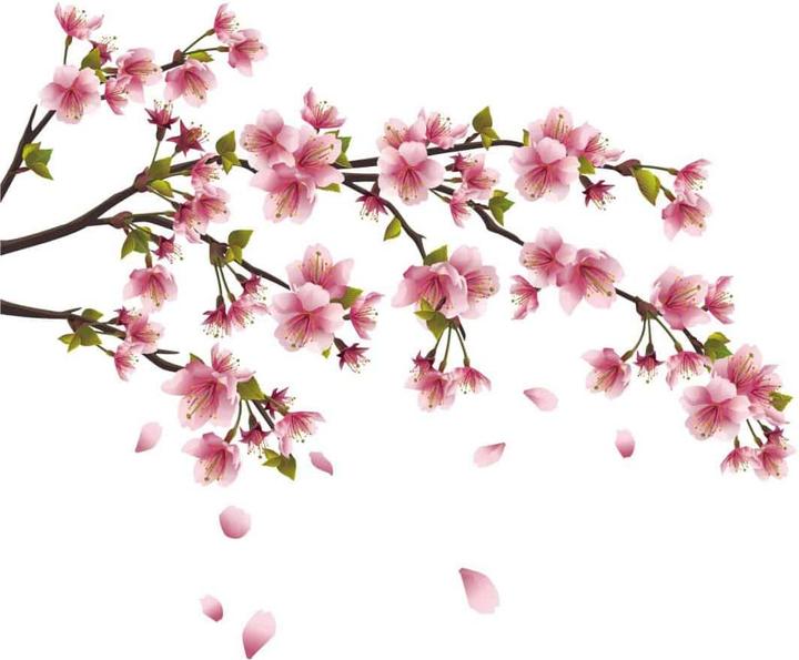 Immagine prodotto Trenddeko ramo dei fiori di ciliegio (200 x 93 cm)
