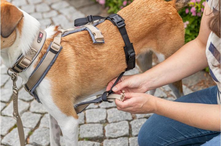 Immagine prodotto Trixie Panik-Adapter Stay für Geschirre M-L (Cane, Generale)